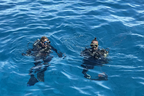 Mahé: Scuba Diving Experience with Wrecks & Coral Reefs Two-tank dive with professional diver