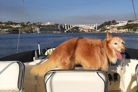 Porto: Luxury Yacht Tour of the 6 Bridges and Douro Estuary Sunset Tour
