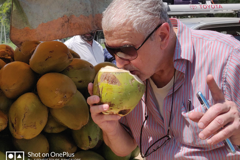 Bangalore: Chikmagalur Coffee Plantation Private Tour