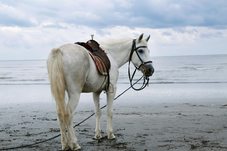Saint Lucia: Horseback Ride and Off-Road Buggy Adventure