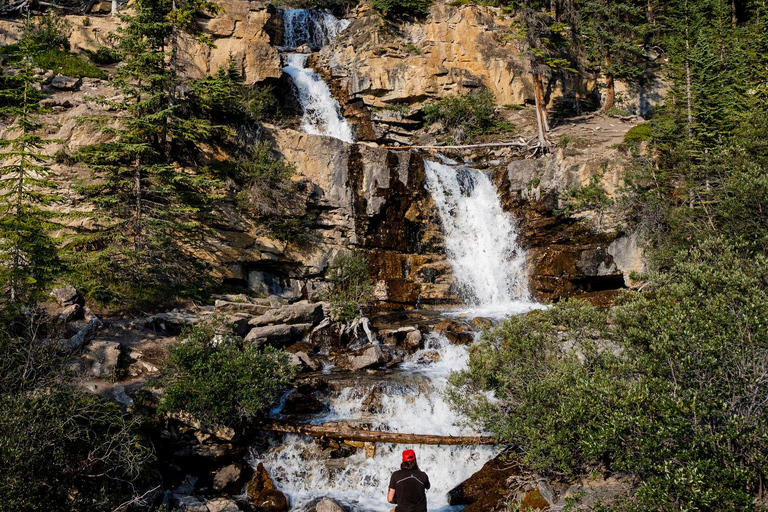 Banff: Thermal Waters and Hidden Waterfalls - 3hr Walk