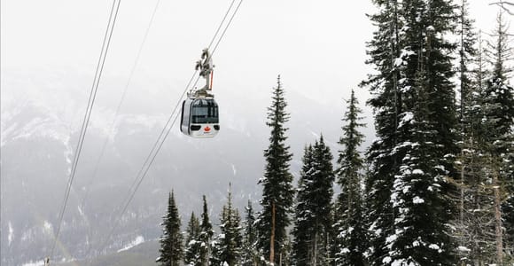 Banff Gondola, Banff Upper Hot Springs and Lake Louise Day Tour