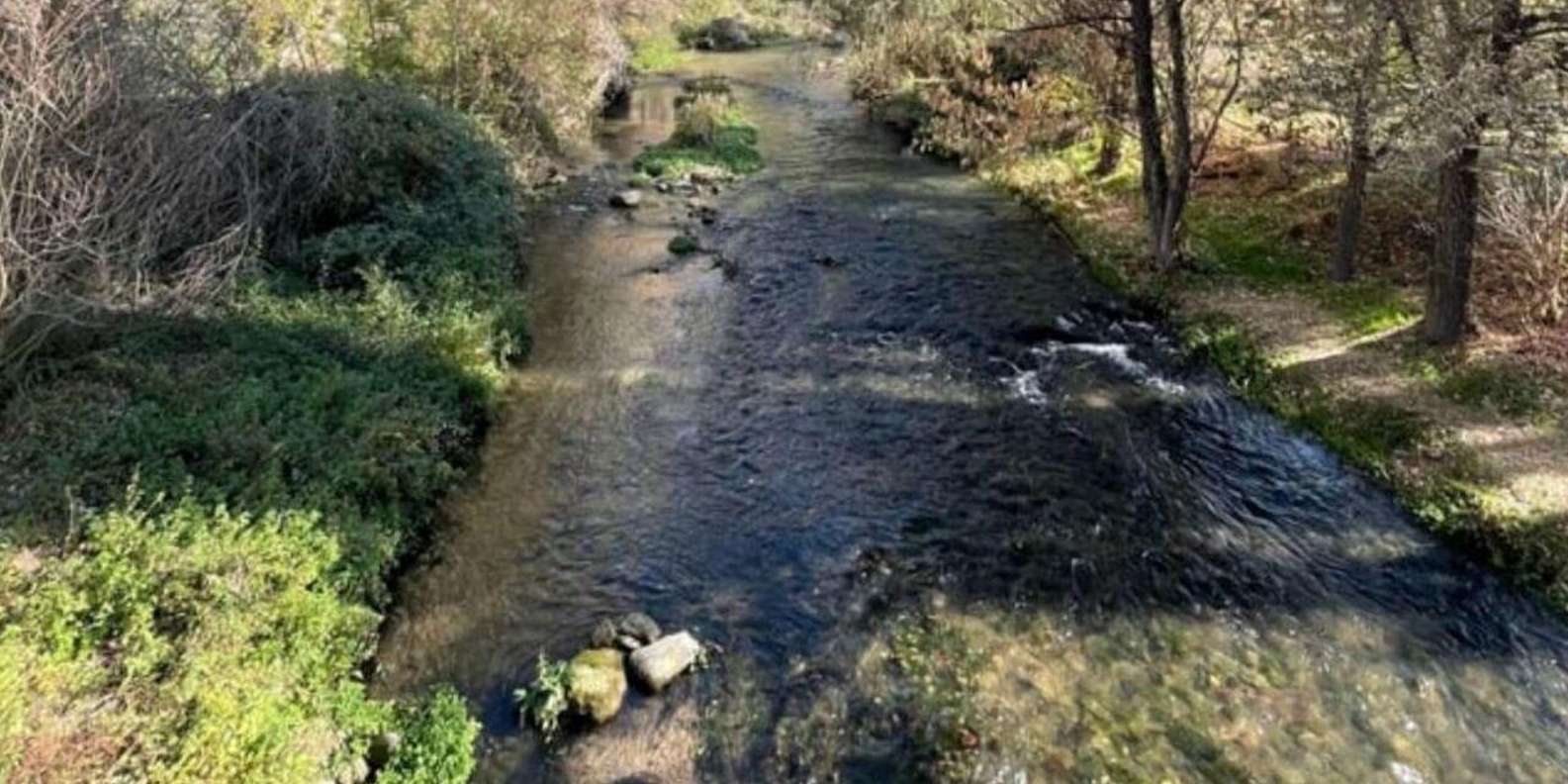 section