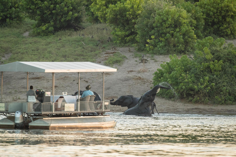 From Victoria Falls: Botswana & Zambia Day Trip with Safari