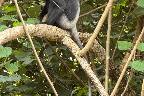 Koggala Lake Private Boat Tour with Dinesh