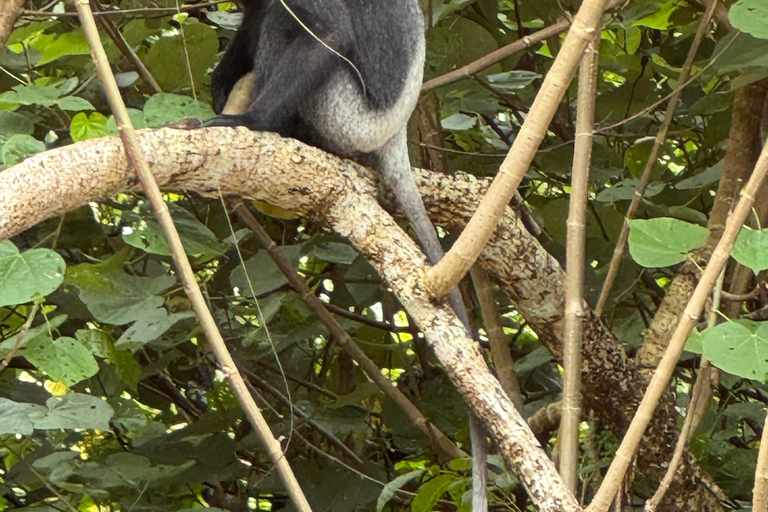 Koggala Lake Private Boat Tour with Dinesh