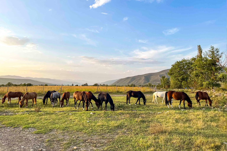 Tbilisi: Horse Riding Tour at Palomino Ranch