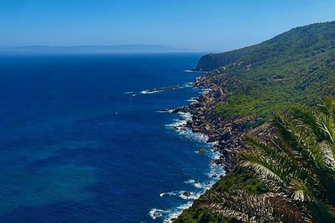 Da Tarifa a Tangeri: Escursione di un giorno con traghetto e giro in cammello