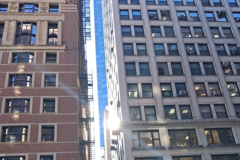 Downtown Chicago History Walking Tour with Expert Guide