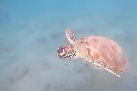 SAN JUAN: Private Beginner Scuba Diving Tours!!