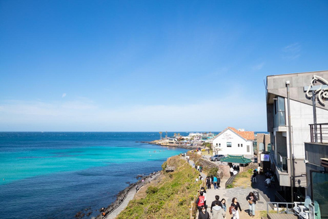 Jeju: Wycieczka z przewodnikiem prywatną taksówką - Czarter samochoduJeju Taxi Tour 8 godzin