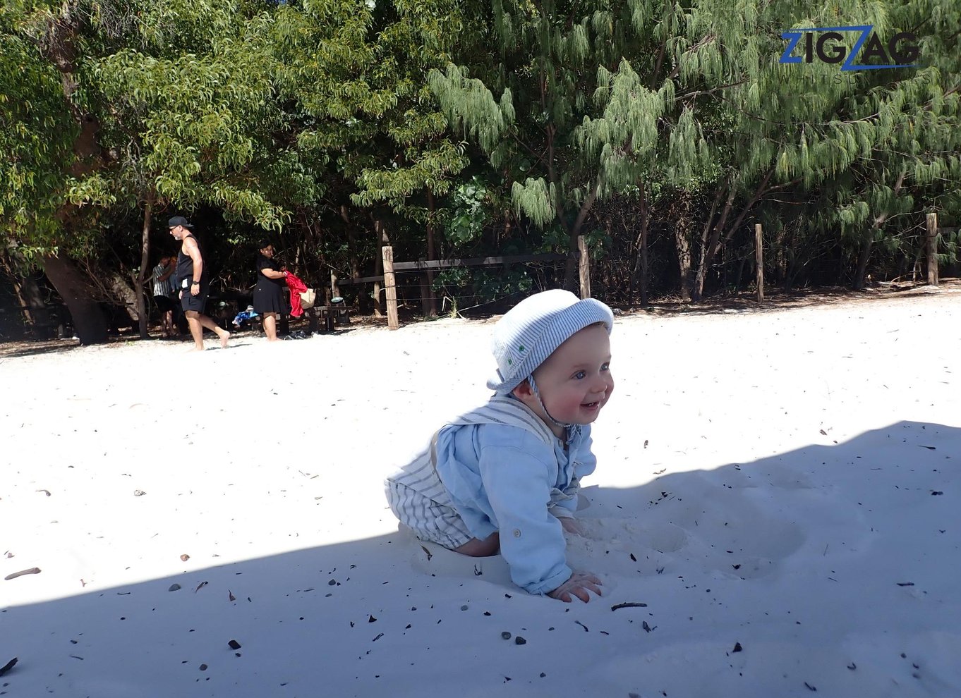 Fra Airlie Beach: Heldagstur til Whitehaven | Katamaran med aircondition
