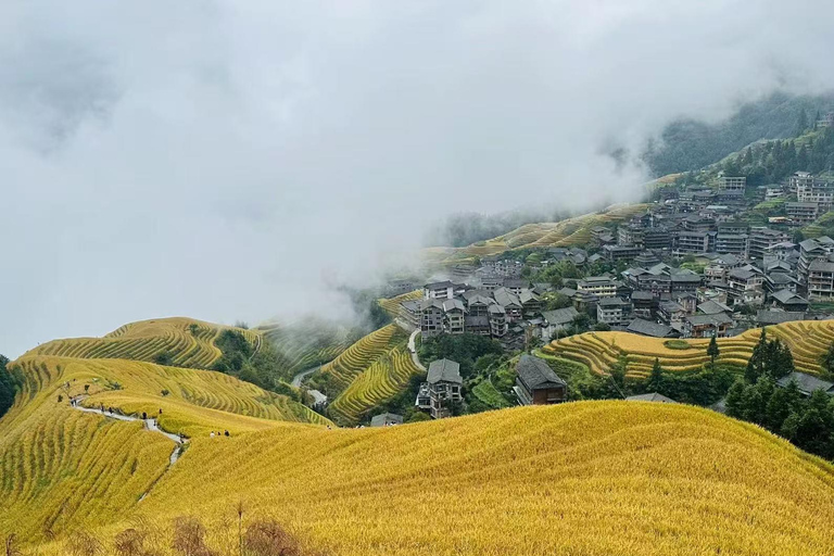 From Guilin/Yangshuo: Longji Rice Terraces Private Tour From Guilin: Longji Rice Terraces Private Tour