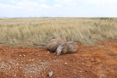 Nairobi National Park