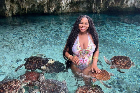 ZANZIBAR: Sea Turtles Swimming, Location Nungwi or Kizimkazi Salaam Cave Feeding & Swimming with and Sea Turtles