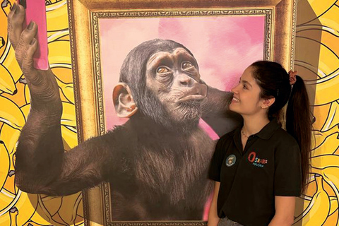 Odkryj najbardziej ekscytujący świat iluzji fotograficznej w Niemczech!Weekendy i okresy świąteczne