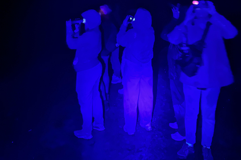 Monteverde: Night Tour with Night Vision Goggles