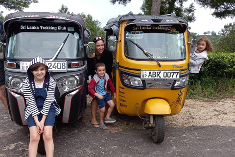 Esplora le cascate iconiche di Ella con un&#039;avventura panoramica in tuk-tuk