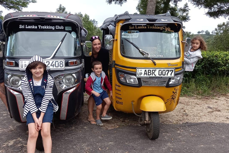 Esplora le cascate iconiche di Ella con un&#039;avventura panoramica in tuk-tuk