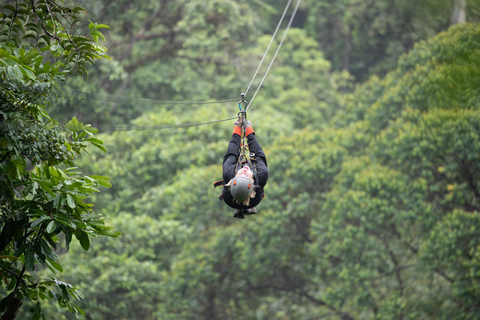 COSTA RICA:UPPTÄCK COSTARICAS VILDA DJUR-STRAND &amp; SKOG 2VECKOR