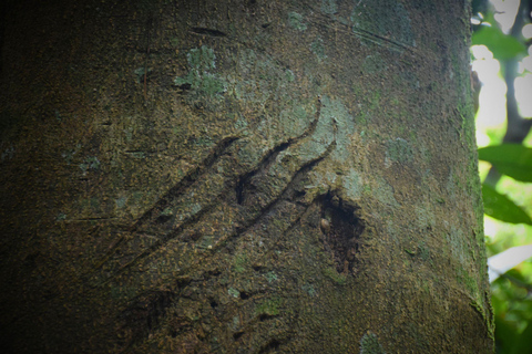 البرية: جولة مشي لمسافات طويلة ومشاهدة النجوم في خاو ياي لمدة يومينجولة المجموعات الصغيرة