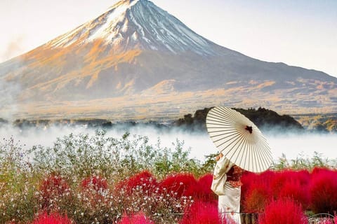 Tokyo: Mount Fuji and Hakone Private Sightseeing Day Trip