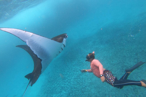 BFT Nusa Penida: Snorkeling to Manta Point &amp; Manta BayShare snorkeling group up 100 Pax