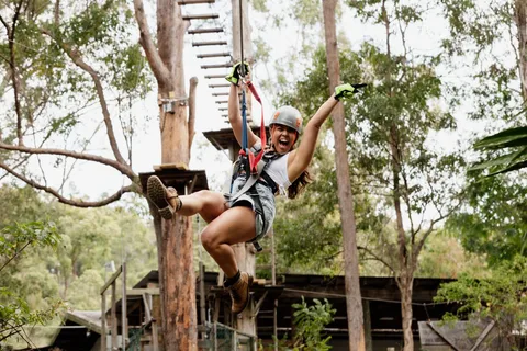 Tamborine Mountain: TreeTop Challenge Abenteuerpark