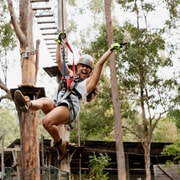 Tamborine Mountain: High Ropes and Zipline Adventure Park
