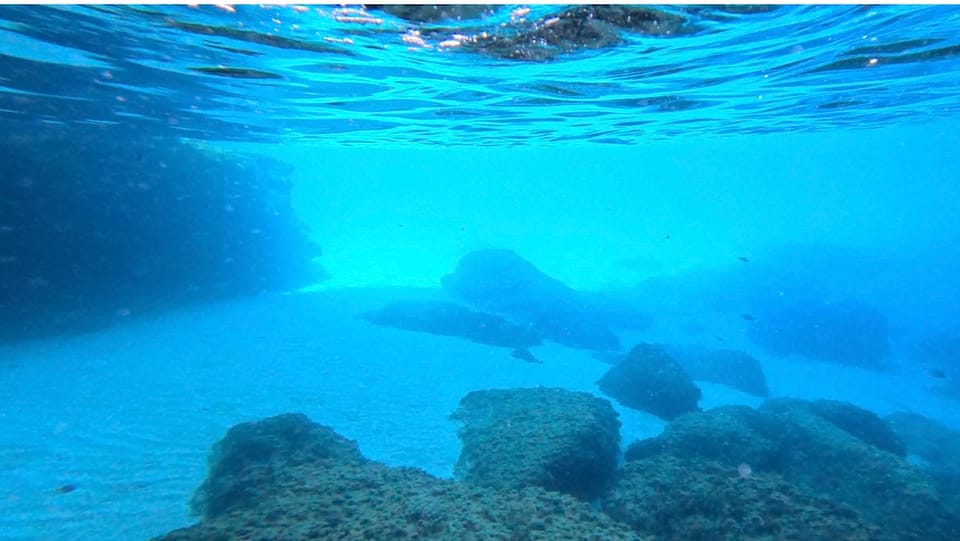 Sea Cave Tour on Stand Up Paddle GetYourGuide