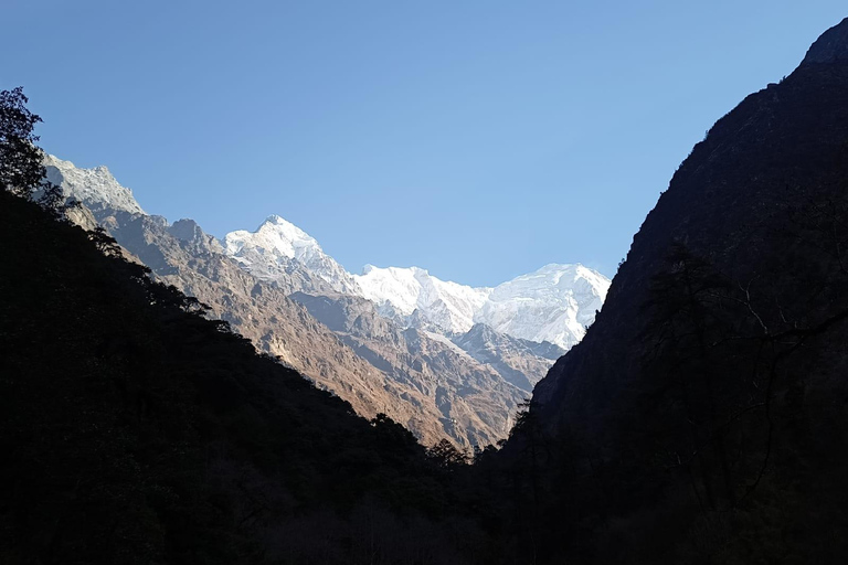 From Kathmandu: Guided Surya Chaur Day Hike w/ Hotel Pickup