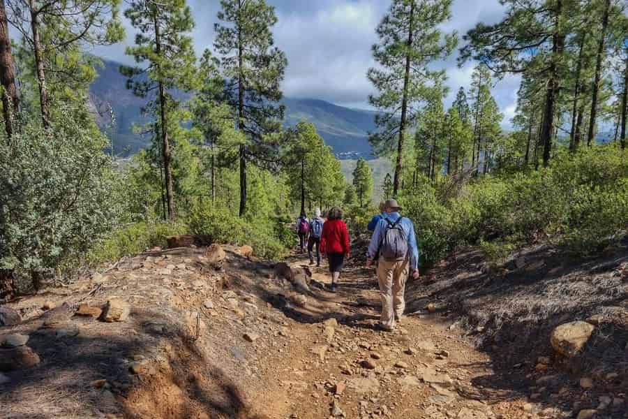 Gran Canaria: Ganztägige geführte Wanderung mit Snacks. Foto: GetYourGuide Gran Canaria: Ganztägige geführte Wanderung mit Snacks. Foto: GetYourGuide