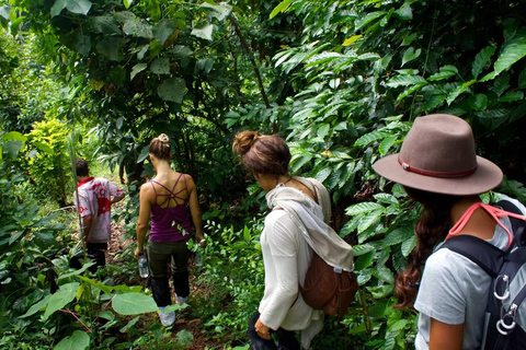 Kandy: Jungle 5 Day Yoga & Nature Retreat 5 Day Yoga & Nature Retreat - Double-sharing