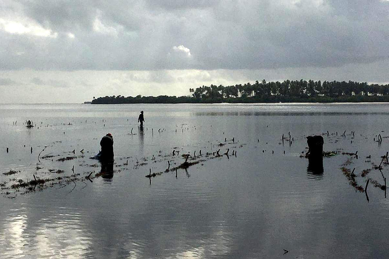 Zanzibar: Seaweed Farm and Starfish Tour