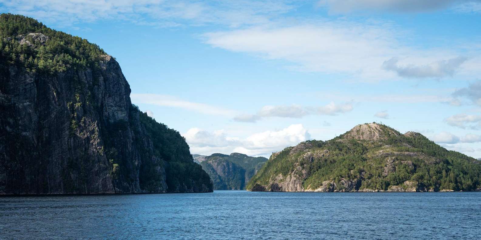 From Bergen: The Original Fjord Cruise to Mostraumen — gallery image 13