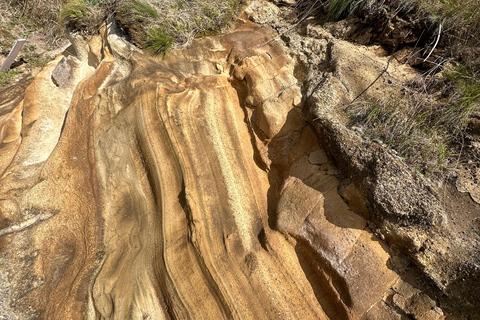 Découvrez et randonnez à São Miguel avec Rúben