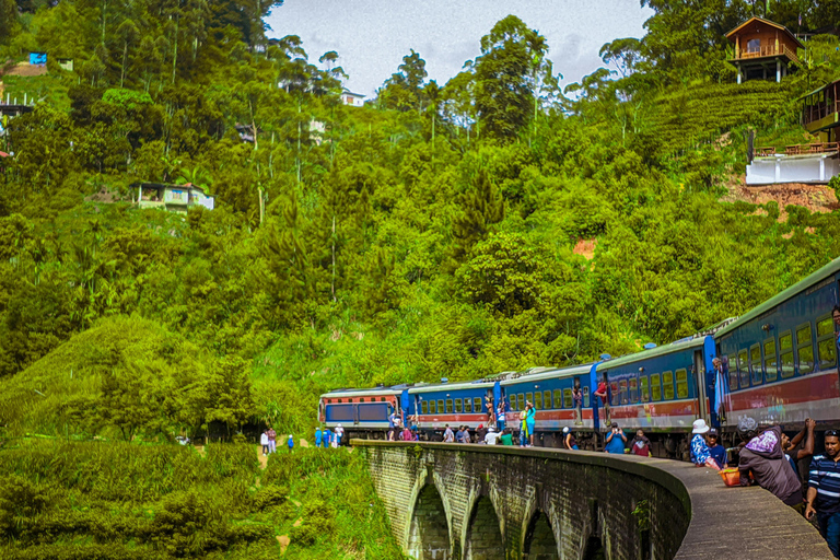 Ella: De Pekoe Trail Etappe 16 - Ella naar DemodaraHet Pekoe pad etappe 16