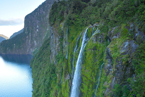 Te Anau: Milford Sound Helicopter Tour