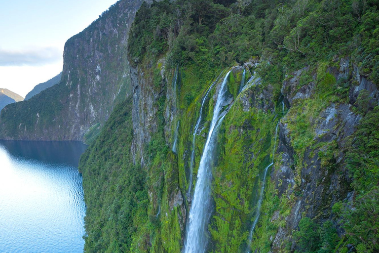 Te Anau: Milford Sound Helicopter Tour