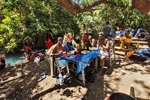 Cascate di Materuni, tour del caffè e sorgenti termali di Chemka: Gita di un giorno
