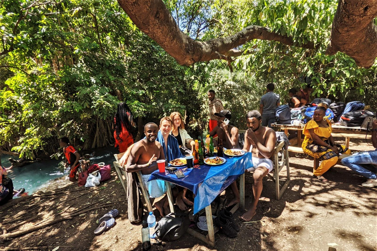 Cascate di Materuni, tour del caffè e sorgenti termali di Chemka: Gita di un giorno