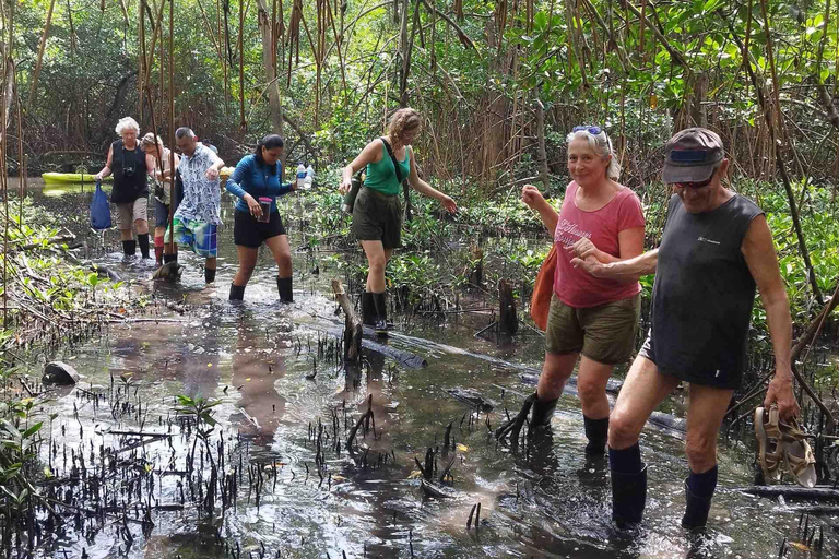 Panama City: Portobelo Jungle, Reef & Venas Azules Tour