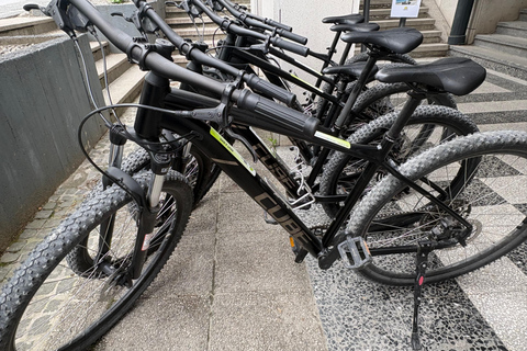 Bled: Premium Bike Rental
