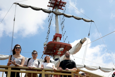 De Tóquio: Cruzeiro em Hakone e viagem de 1 dia à 5ª estação do Monte Fuji