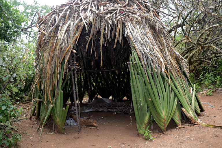 Tarangire-Nationalpark &amp; Eyasi-See (Datoga- &amp; Hadzabe-Dörfer)Premium Lodge im Tarangire-Nationalpark