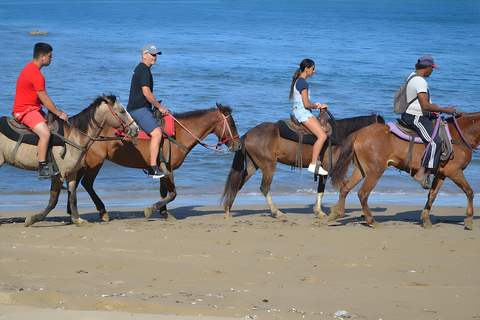 Passeio a cavalo em PUERTO PLATA baía de taino e enseada de âmbar