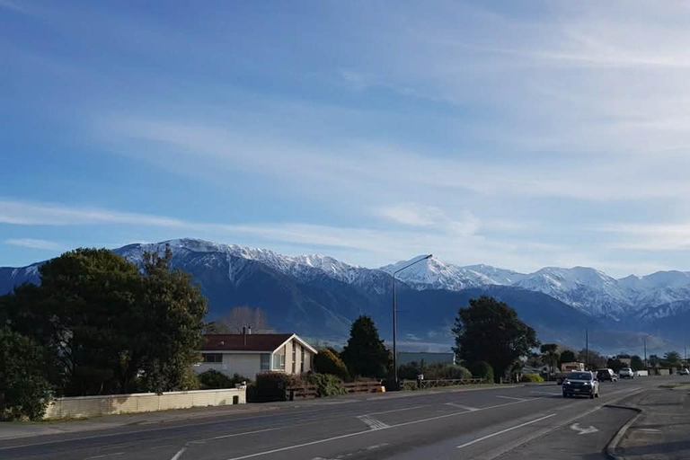 From Christchurch: 2-Day Kaikōura Tour with Accommodation
