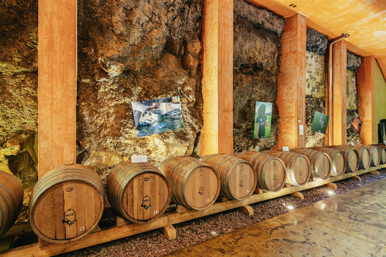 Tacoronte: Visita Guiada a Bodegas con Degustación de Vinos y QuesosTacoronte: tour guiado con cata de vinos y quesos