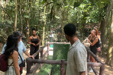 Cu Chi Tunnels Half-Day Adventure from Ho Chi Minh City Small Group Tour (Morning/Afternoon)