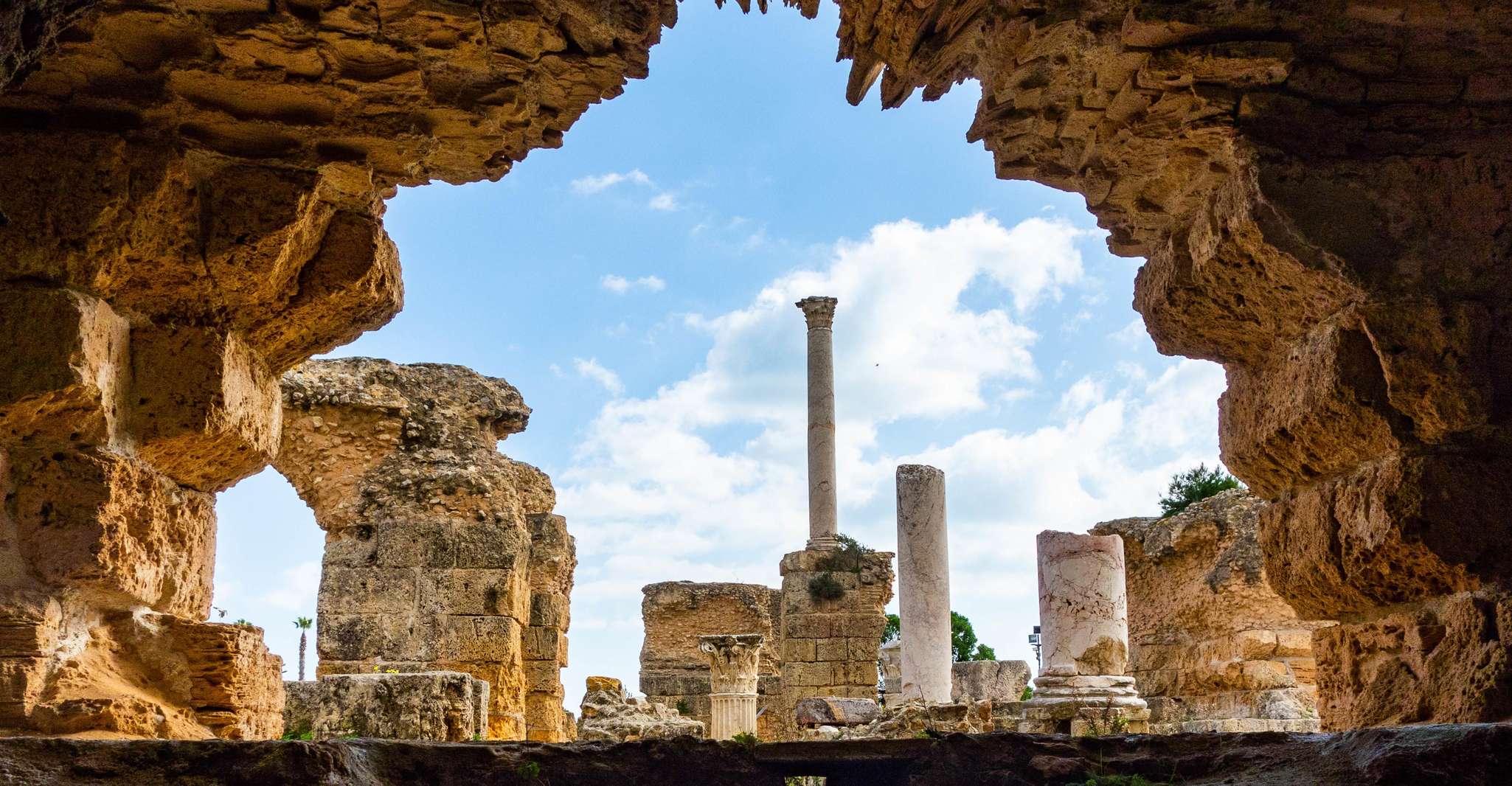 Excursión de un día privado, Medina de Túnez, Cartago, Sidi Bousaid - Hizvo